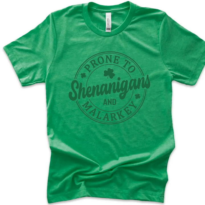 Prone to Shenanigans and Malarkey | St. Patrick Day Tshirt
